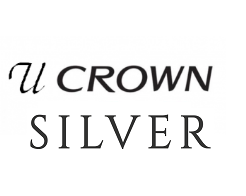Инвертор U-crown Silver (до -30°С)